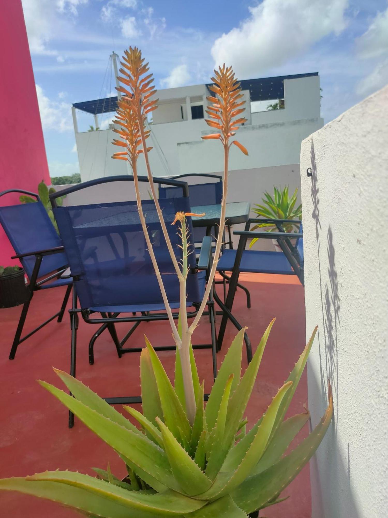 Casa Coraza Daire Cancun Dış mekan fotoğraf