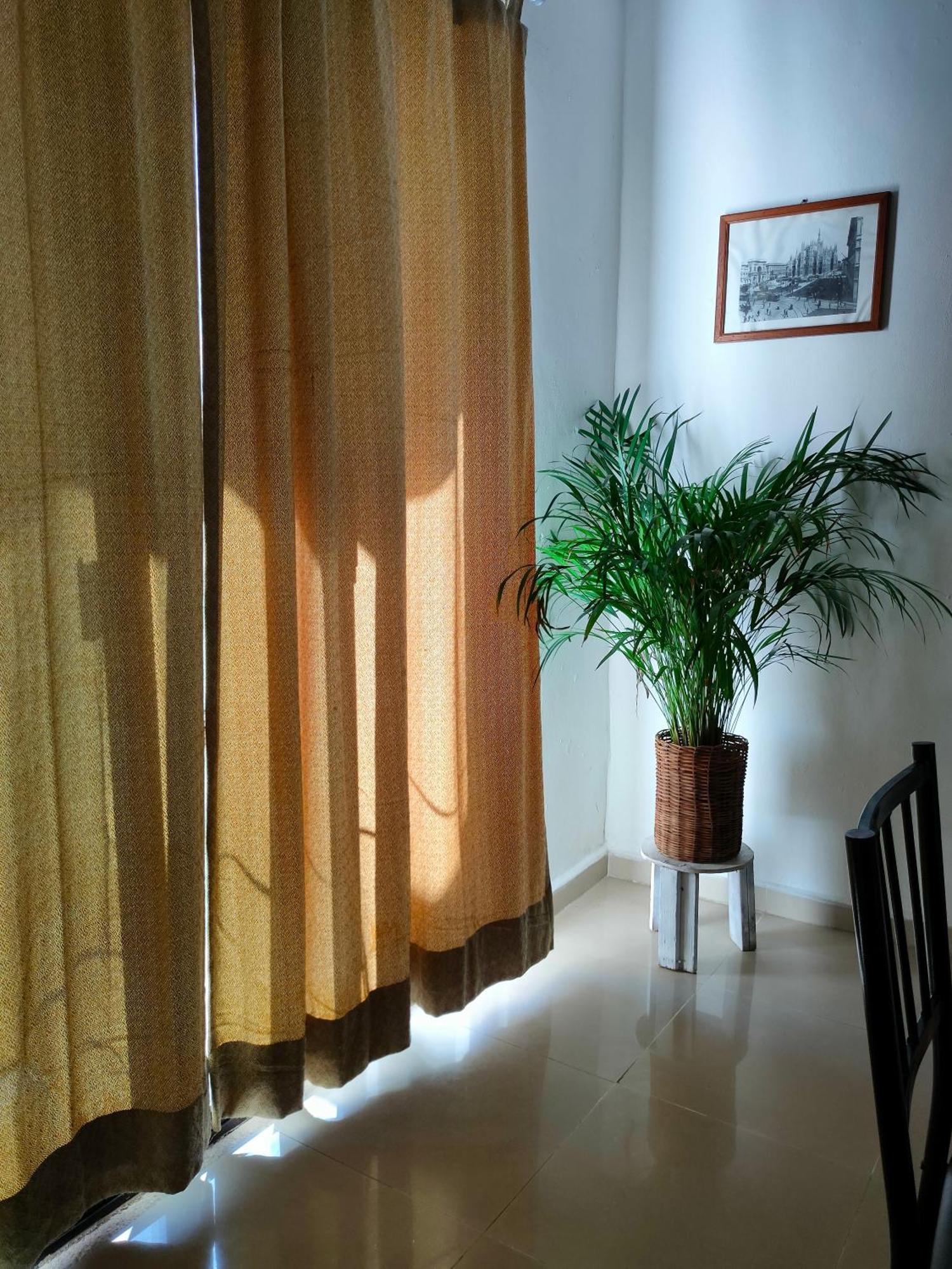 Casa Coraza Daire Cancun Dış mekan fotoğraf